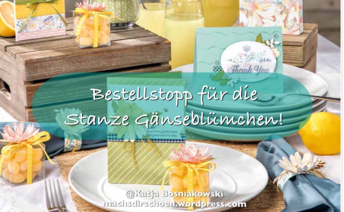 Read more about the article Stanze und Produktpaket Gänseblümchen